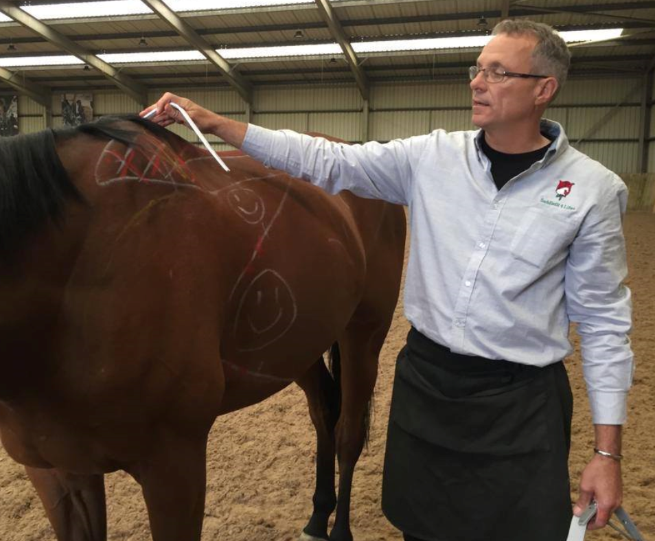 jochen-schleese-saddle-fitting-demonstration-saddle-fit jochen-schleese-saddle-fitting-course-certified-equine-ergonomist