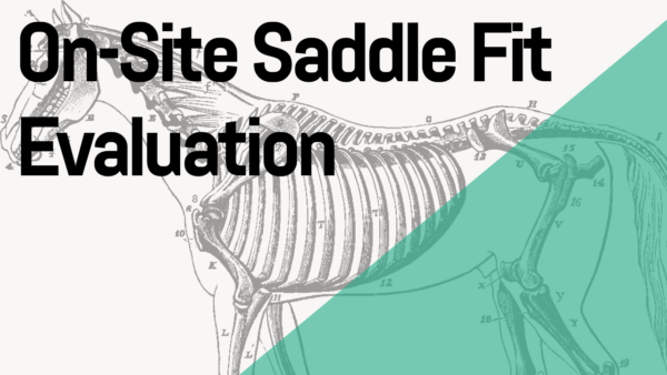 On-Site Saddle Fit Evaluation
