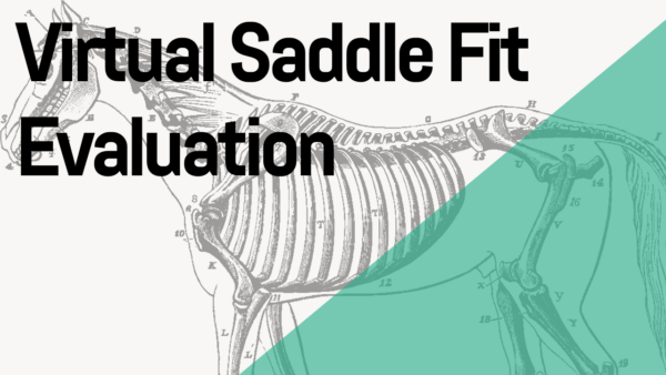 Virtual Saddle Fit Evaluation