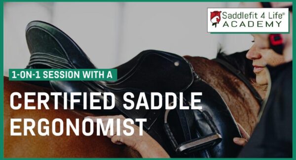 1 On 1 Session With A Certified Saddle Ergonomist