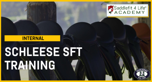 Schleese Internal SFT Training