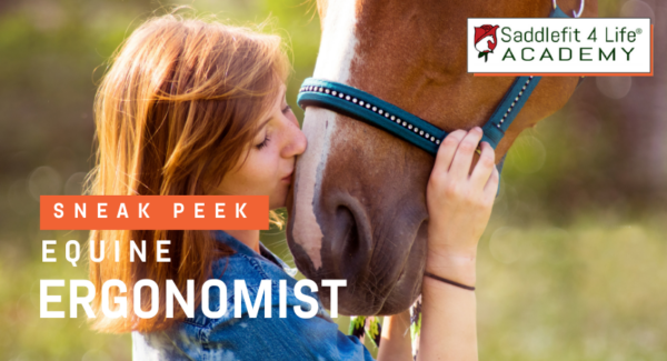 Equine Ergonomist Sneak Peek