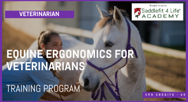 Equine Ergonomics For Veterinarians - 12 Month Payment Plan