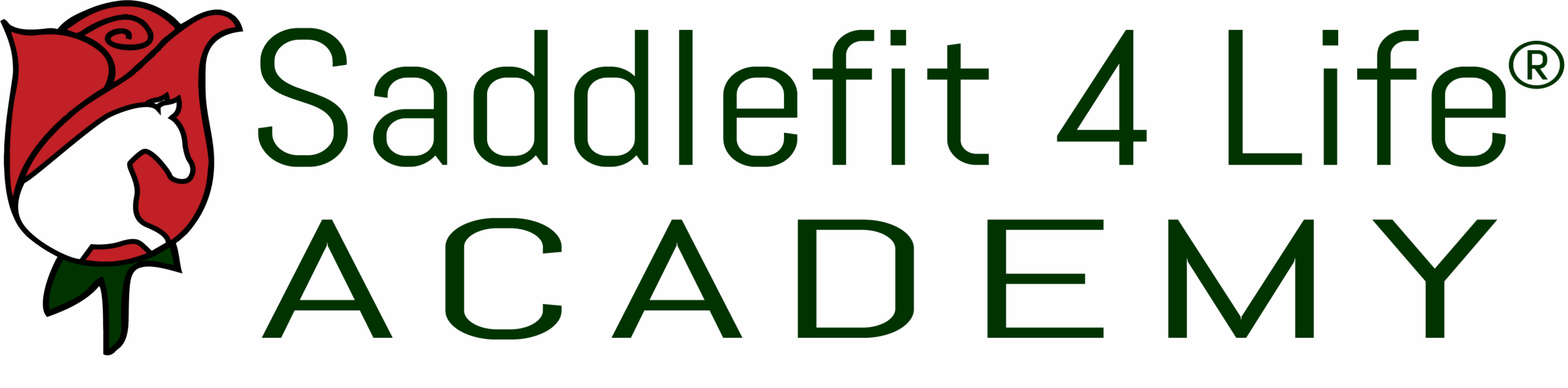 Saddlefit 4 Life Academy